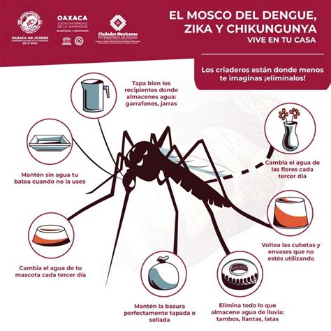 el dengue se contagia